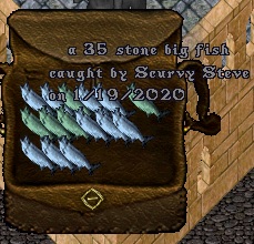 Fish#15.jpg