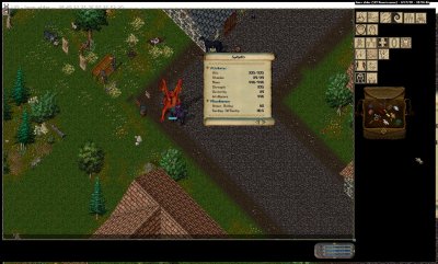 lawn elder_4-17_18.54.jpg