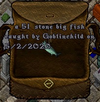 Fish#7.jpg