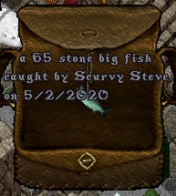 Fish#13.jpg