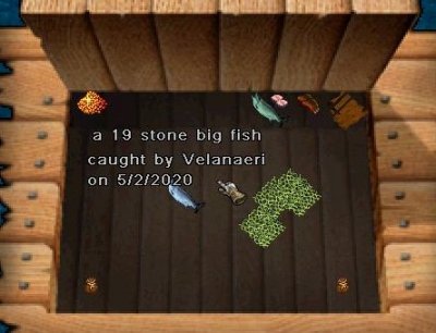 19 stone tourny fish.jpg