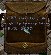 Fish#17.jpg