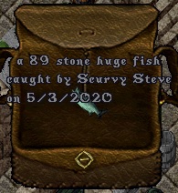 Fish#18.jpg