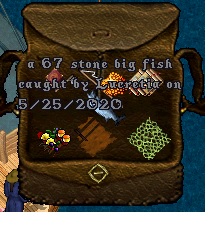 fish5.jpg