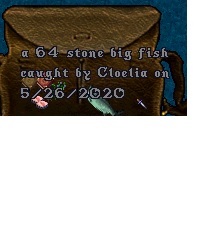 fish6.jpg