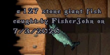 fish222.jpg