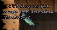 fish333.jpg