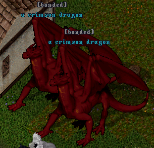 crimson dragons.png