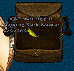 Fish 1.png