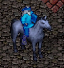 7th blue horse.jpg