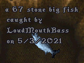 fish3.jpg