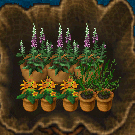 plants.PNG