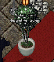 plant.PNG