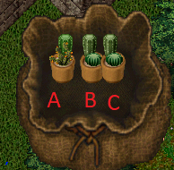 potted cactus.png