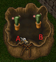 2 potted cactus.png