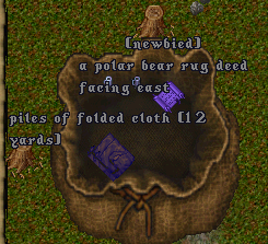 Cloth and Rug.png