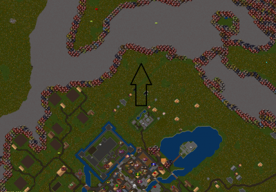 rares.png