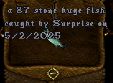 upload_2025-5-2_9-9-46.png