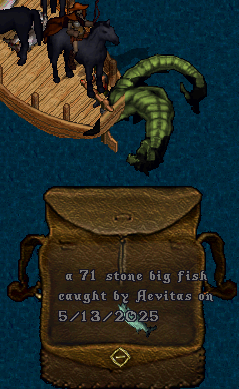 upload_2025-5-13_13-2-54.png
