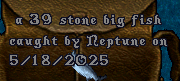 upload_2025-5-18_10-10-0.png
