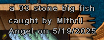 mith 33 may 19.png