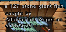 Adam 127 may 24.png