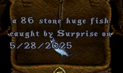 upload_2025-5-28_9-13-34.png