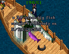 upload_2025-5-28_18-39-51.png
