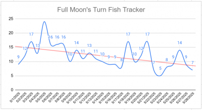 upload_2025-5-28_18-17-35.png