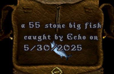 upload_2025-5-30_10-4-49.png