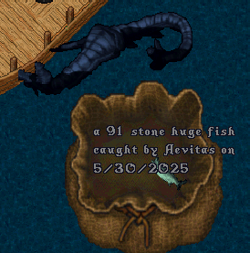 upload_2025-5-31_0-52-5.png
