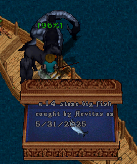 upload_2025-5-31_2-33-10.png