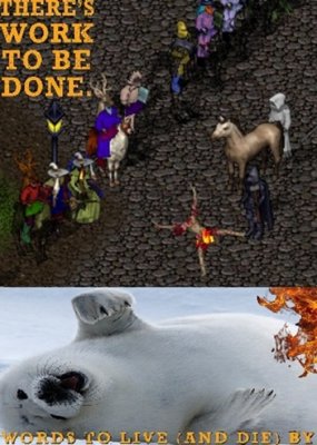 ArcticSeal.jpg