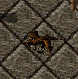 turkey.png