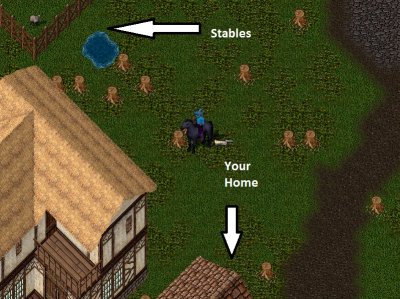 house2.jpg