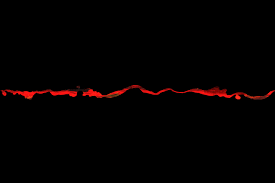 RedLine